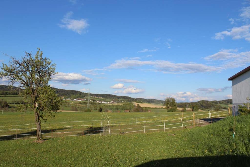Anno - Die Wohlfuehl - Idylle In Gruenbach_Kirchdorf Kirchdorf im Wald Экстерьер фото