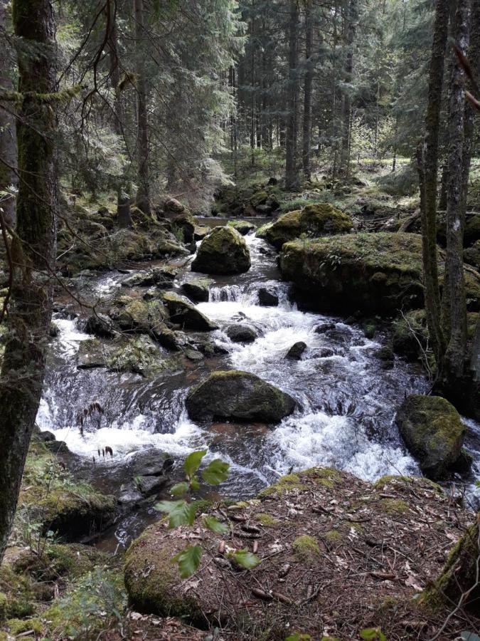 Anno - Die Wohlfuehl - Idylle In Gruenbach_Kirchdorf Kirchdorf im Wald Экстерьер фото